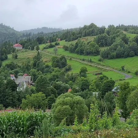 эдельвейс Hotel Verkhne-Studenyy