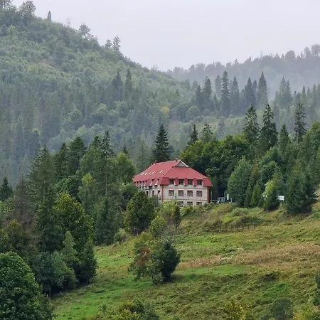 эдельвейс